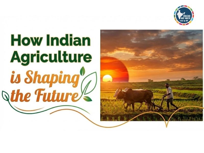 Indian farmer plowing a lush green field with oxen at sunrise, symbolizing sustainable and technology-driven agriculture